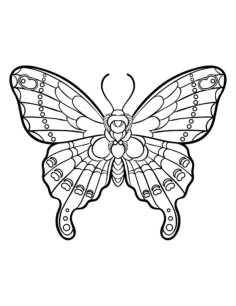 Butterfly Sylized Intricate Design Coloring Pages Pdf, Free Vectors File